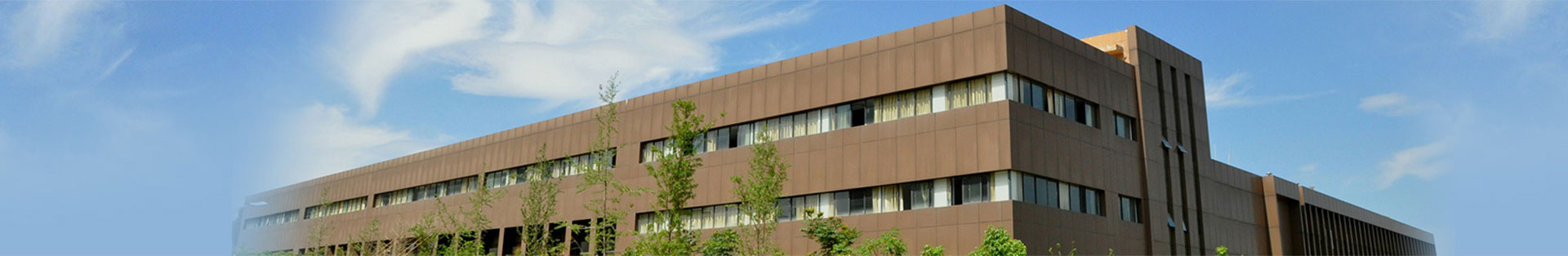 关于28圈游戏