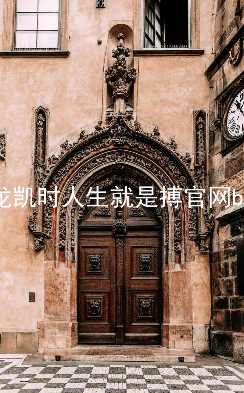尊龙凯时人生就是搏官网bjl8